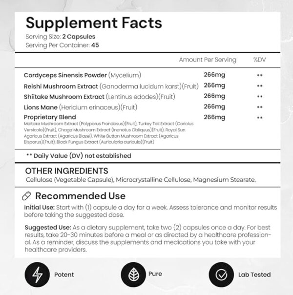 ACEWORKZ Mushroom Nootropic Brain Supplement - Lions Mane, Reishi and Cordyceps